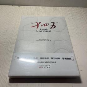 “十四五”大战略与2035远景