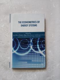 The Econometrics of Energy Systems