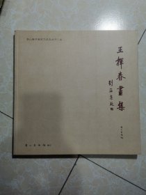 王挥春画集