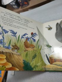 找朋友系列神奇立体书：小兔比利（中英文对照）