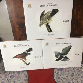 BIRDS OF AMERICA(1-3)