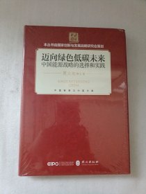 迈向绿色低碳未来/中国能源战略的选择和实践