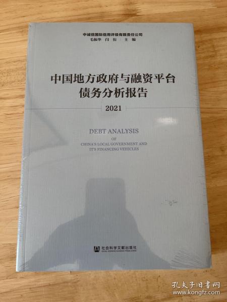 中国地方政府与融资平台债务分析报告（2021）