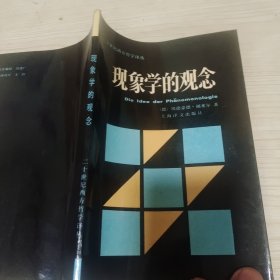 现象学的观念