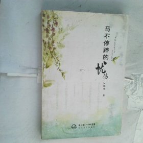 马不停蹄的忧伤  王江霞 著 长江文艺出版社