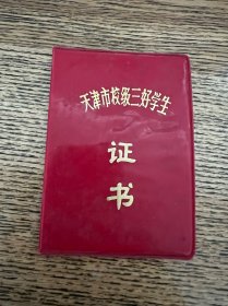 天津市校级三好学生证书