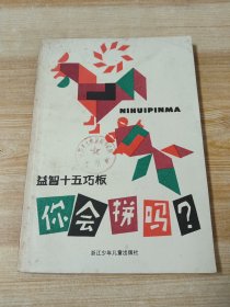 你会拼吗？——益智十五巧板