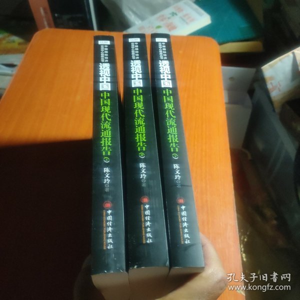 透视中国 中国现代流通报告.下