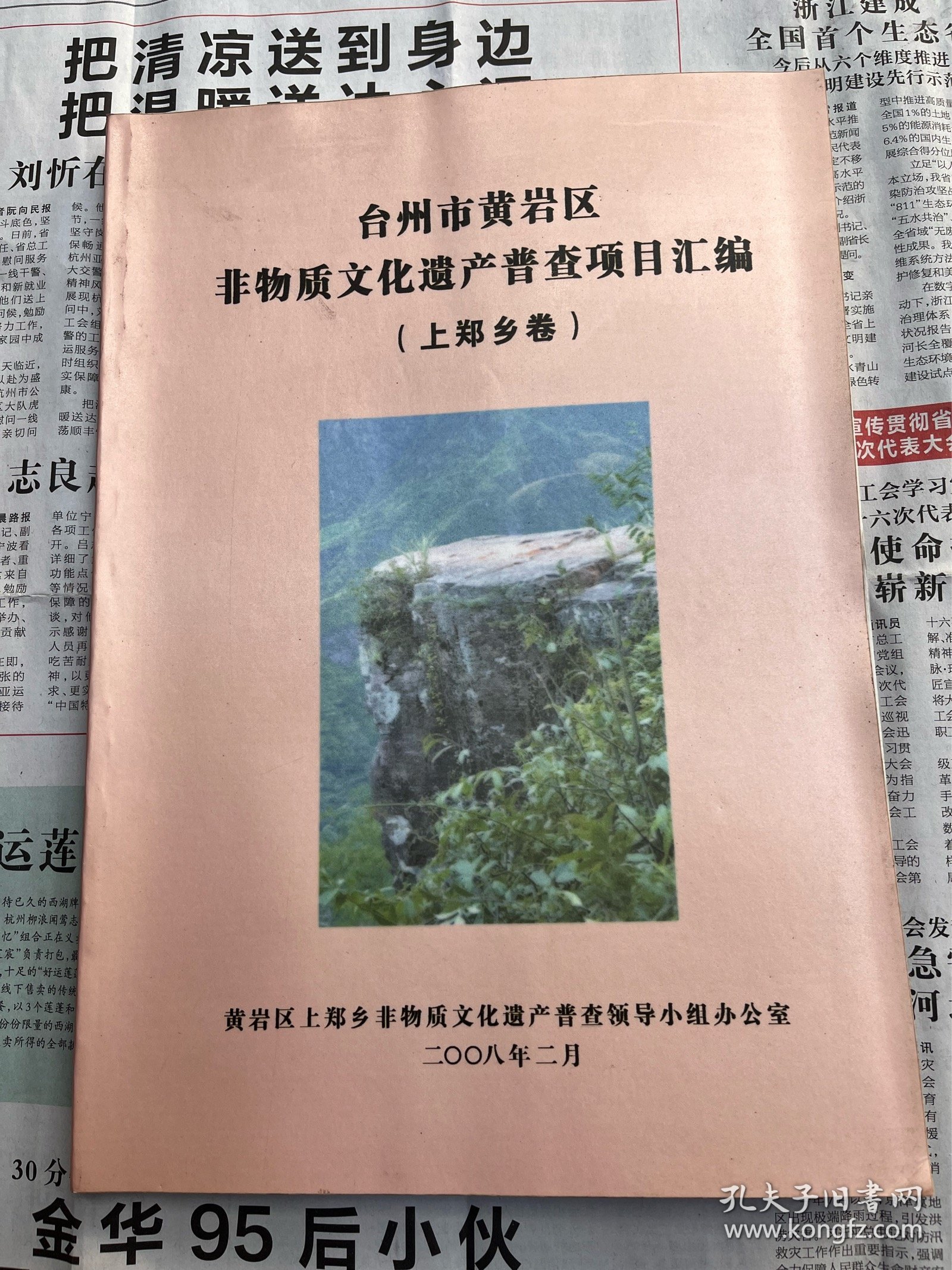 台州黄岩非物质文化遗产普查项目汇编