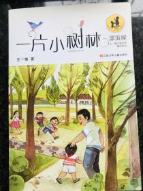 漂流屋·王一梅儿童文学精品系列：一片小树林