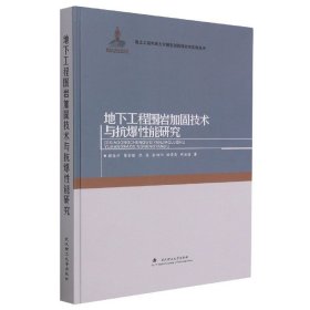 地下工程围岩加固技术与抗爆性能研究(精)/岩土工程地质力学模型试验理论与实践丛书