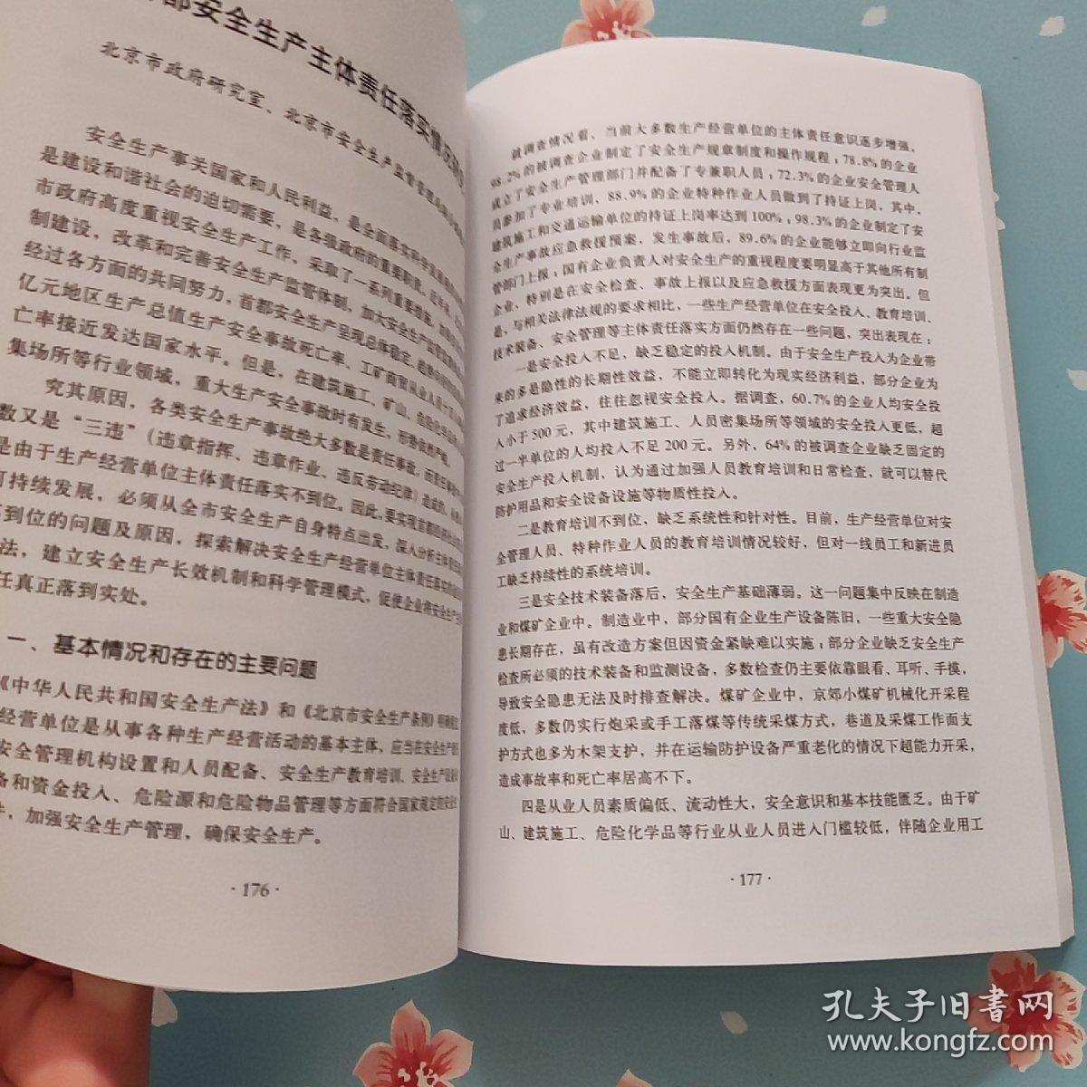 北京市安全生产发展战略研究