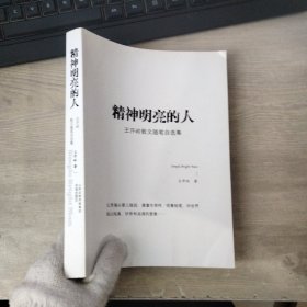 精神明亮的人:王开岭散文随笔自选集