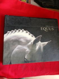 TIM FLACH EQUUS【横8开 艺术画册】