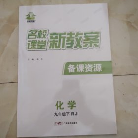 名校课堂教师用书(九下化学)