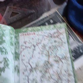山西导游