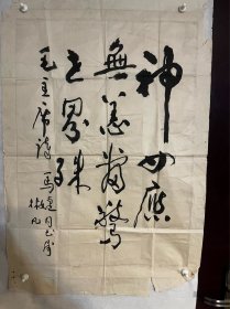 林凡，男，1931年生于湖南益阳，字翊宇。中国美协会员、中国书协会员、中国作协会员、中国工笔画学会名誉会长、法人代表，中国人民解放军美术创作院副院长，人民大学林凡工作室硕士班导师。原任解放军艺术学院研究员、南开大学兼职教授、美国加州大学伯克莱分校东方艺术讲座特聘教授。是享受国务院特殊贡献津贴的专家。48X69