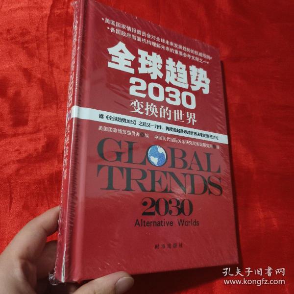 全球趋势2030：变幻的世界（精装）