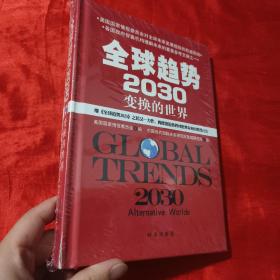 全球趋势2030：变幻的世界（精装）