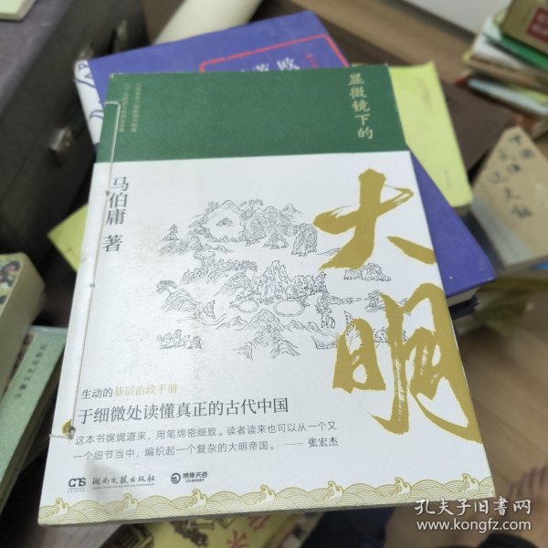 显微镜下的大明（马伯庸全新作品）