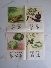 小学课本语文第二册教学图片：蔬菜（茄子，扁豆）