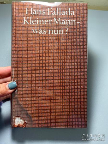 Hans Fallada kleiner Mann was nun？（小汉斯拉达的人现在怎么样了？）