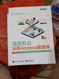 高效办公：玩转Access数据库