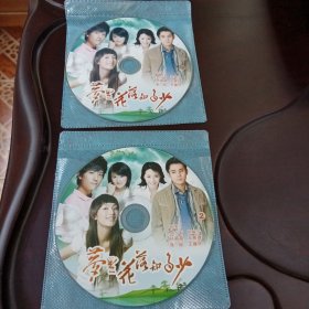 梦里花落知多少：1盘+2盘DVD光盘2张 (无书 仅光盘2张)