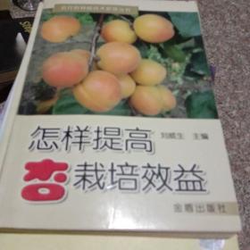 怎樣提高杏栽培效益