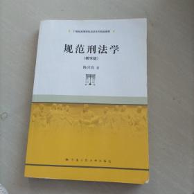 规范刑法学（教学版）/21世纪高等院校法学系列精品教材