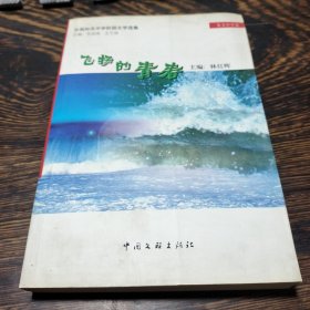 飞扬的青春