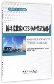 循环流化床（CFB）锅炉装置操作