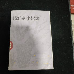 杨润身小说选