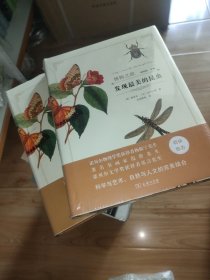 发现最美的昆虫