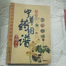 新编中医实用大全