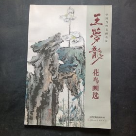 王梦龙花鸟画选