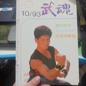 武魂杂志 1993 10不缺页 八闪翻一步三拳 意拳的双推手 猿功拳术第二趟 周身击打法 张全亮