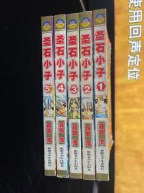 圣石小子 1-5