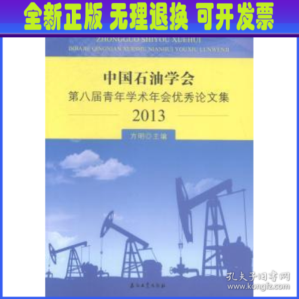 中国石油学会第八届青年学术年会优秀论文集（2013）