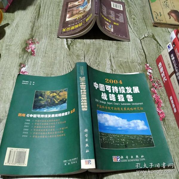 2004中国可持续发展战略报告