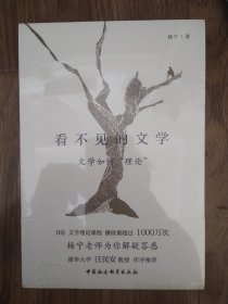 看不见的文学(文学如何理论)