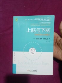 《上脑与下脑—找到你的认知模式》