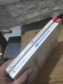轻量级微服务架构（上下册）未拆封等于全新
