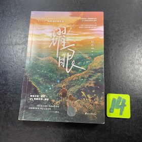 耀眼 1