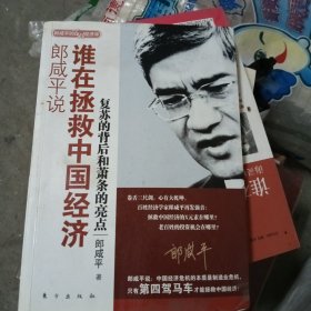 郎咸平说：谁在拯救中国经济：复苏的背后和萧条的亮点