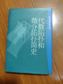 代数拓扑和微分拓扑简史