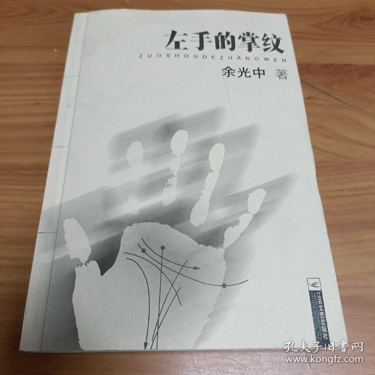 左手的掌纹 余光中

正版书籍，保存完好，
实拍图片，品相见详图