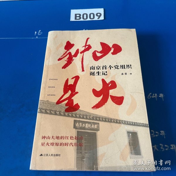 钟山星火：南京首个党组织诞生记