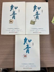 知青（梁晓声经典文学作品全3册）
