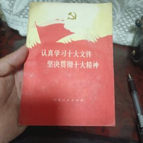 认真学习十大文件，坚决贯彻十大精神。